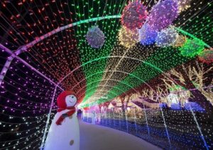 足利フラワーパークのイルミネーション