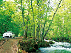 車で移動しながらの奥入瀬渓流