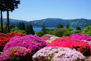 小田急山のホテルの庭園