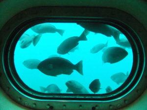 かつうら海中公園海底展望塔4