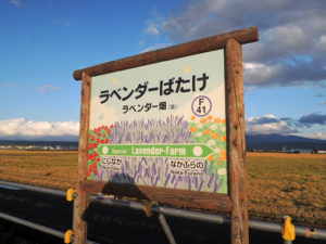ラベンダー畑駅