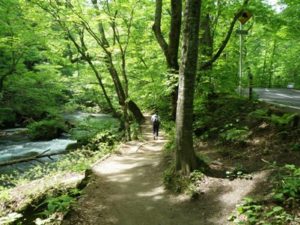 奥入瀬渓流の遊歩道