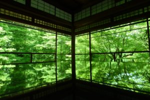 京都瑠璃光院の新緑