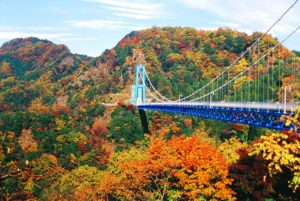 紅葉の時期の竜神大吊橋