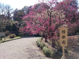 水戸市偕楽園