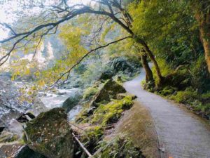 雄川の滝への遊歩道2