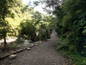 雄川の滝への遊歩道1