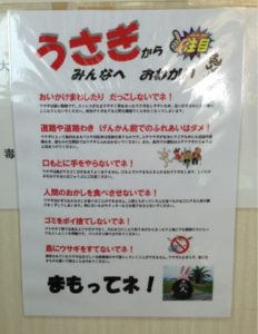 うさぎ島での注意点