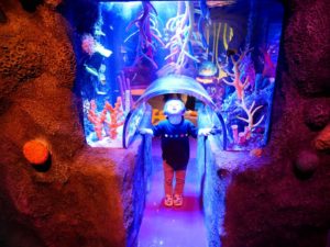 シーライフ名古屋のカラフルなサンゴ礁のトンネル