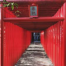 高牟神社 赤い鳥居