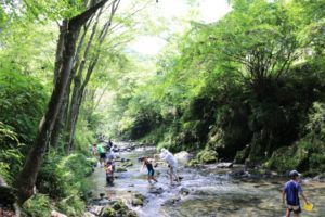 檜原村 川遊び