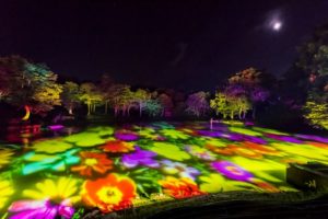 アパリュージョン 世界最大 水面に輝くプロジェクションマッピング