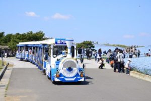 ひたち海浜公園 シーサイドトレイン