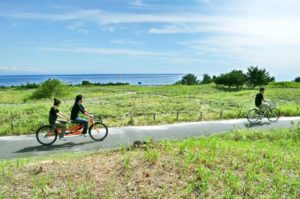 ひたち海浜公園 サイクリング