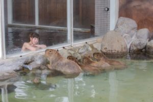 カピバラの湯