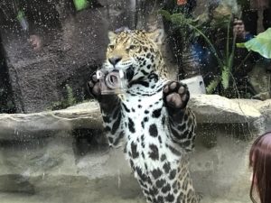 那須どうぶつ王国 ウェットランド