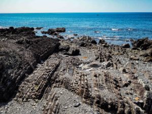 世界ジオパークに認定されてる室戸岬