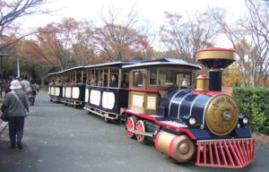 万博記念公園 森のトレイン