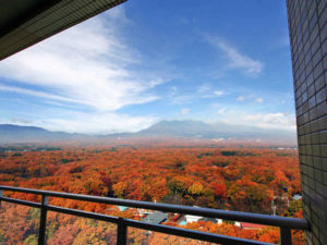 ホテルエピナール那須　部屋からの紅葉の眺め