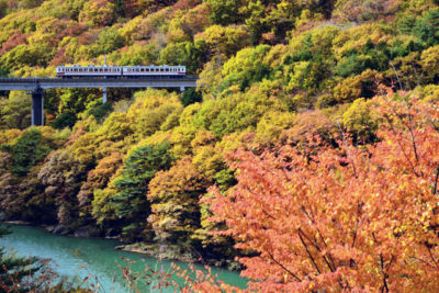 野岩鉄道　紅葉