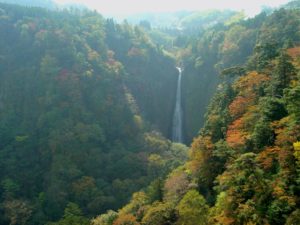 九重“夢”大吊橋 滝