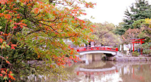 鶴が岡八幡宮　源平池