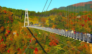 紅葉時の九重“夢”大吊橋