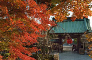 長谷寺の紅葉
