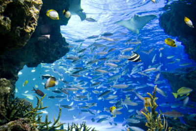 サンシャイン水族館