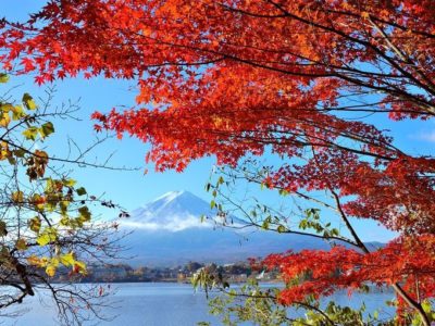 富士山と紅葉