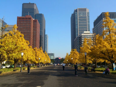 東京都内 紅葉