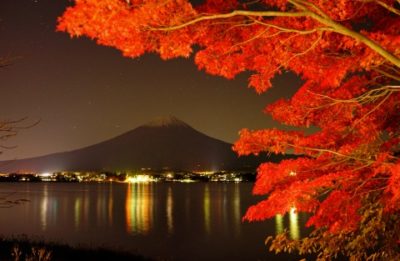 河口湖 もみじ回廊　ライトアップ