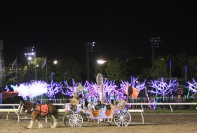 大井競馬場トゥインクルレース
