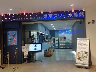 東京タワー水族館