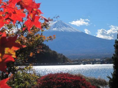 河口湖 富士山 紅葉