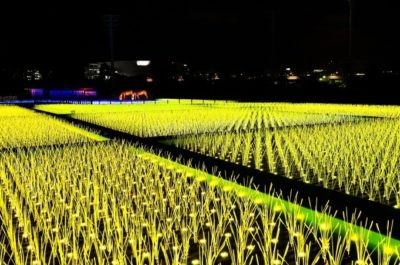 TOKYO MEGA ILLUMINATION4
