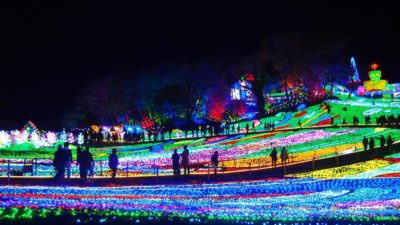 東京ドイツ村 ウィンターイルミネーション