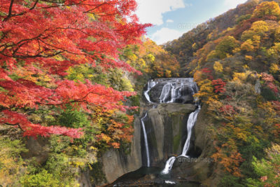 袋田の滝　秋