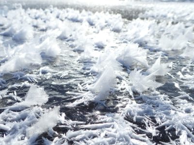 阿寒湖のフロストフラワー