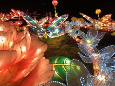 伊豆ぐらんぱる公園「グランイルミ」