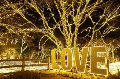NESTA RESORT KOBE「NESTA ILLUMINA」
