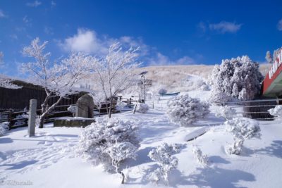 阿蘇 草千里 雪　樹氷