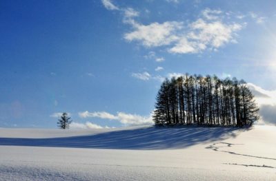 美瑛の冬景色