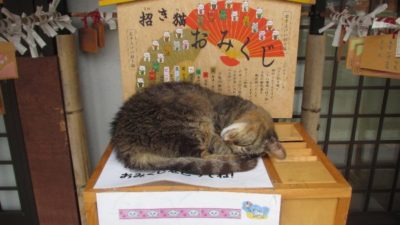 ごたんじょうじ