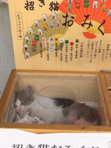 御誕生寺2