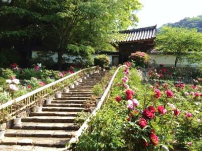 長谷寺