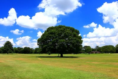 国営昭和記念公園