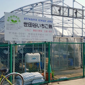 世田谷いちご熟１