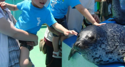 伊勢夫婦岩ふれあい水族館シーパラダイス2