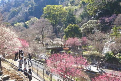 熱海梅園5